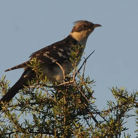 Casa La Mercedes 3* Ballobar