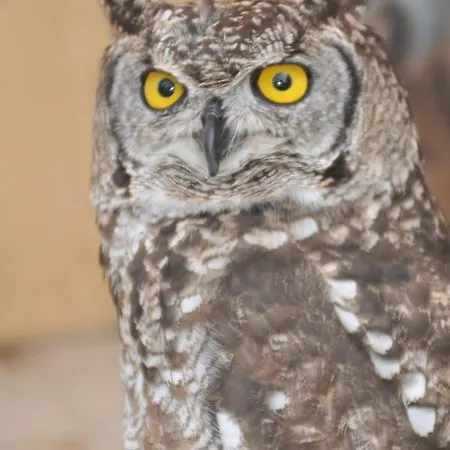 Casa La Mercedes Pensjonat