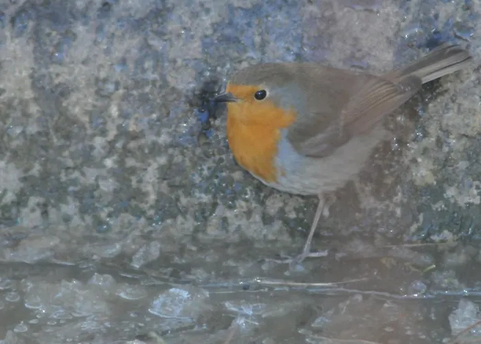 Casa La Mercedes Гостевой дом 3*