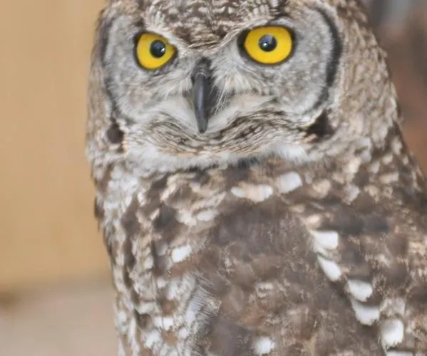 Casa La Mercedes Гостевой дом